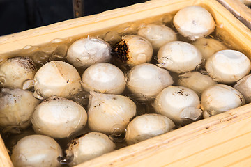 Image showing food sale at street market