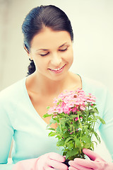 Image showing lovely housewife with flower in pot