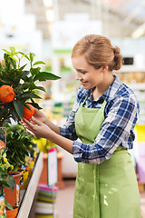 Image showing happy woman touching mandarin tree in greenhouse