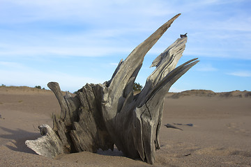 Image showing Snag sand