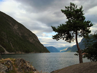 Image showing Sognefjorden,Norway