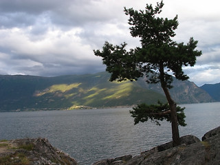 Image showing Sognefjorden,Norway