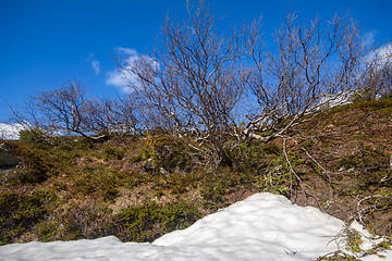 Image showing spring time to life nature  warmly  sun