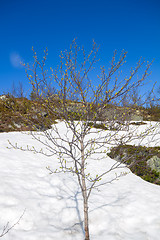 Image showing spring time to life nature  warmly  sun