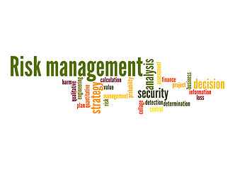 Image showing Risk-management-word-cloud