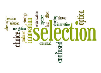 Image showing Selection word cloud