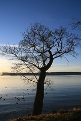 Image showing Fall by the Oslofjord