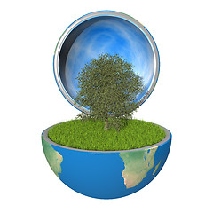 Image showing Tree inside planet