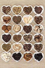 Image showing Chinese Herbs