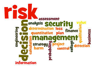Image showing Risk word cloud