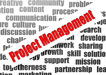 Image showing Project management word cloud