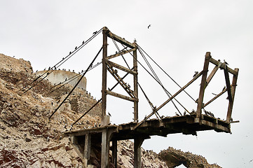 Image showing Birds on platform Ballestas Islands, Paracas, Peru