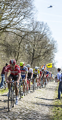 Image showing The Peloton in The Forest of Arenberg- Paris Roubaix 2015