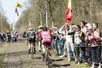 Image showing Group of Three Cyclists in the Forest of Arenberg- Paris Roubaix