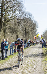 Image showing Aleksejs Saramotins in The Forest of Arenberg- Paris Roubaix 201