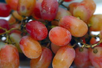 Image showing Grapes