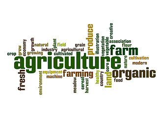 Image showing Agriculture word cloud