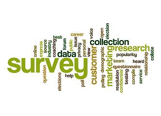 Image showing Survey word cloud