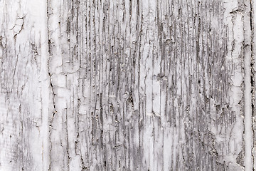 Image showing Gray Coat Of Paint On Weathered Wooden Shutter