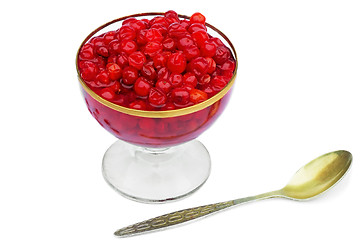 Image showing Viburnum berries in syrup on a white background.