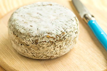 Image showing Tomette des Alpes, cheese of France