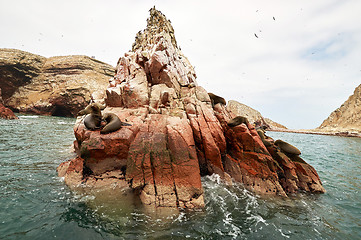 Image showing sea lion on rocky formation Islas Ballestas, paracas