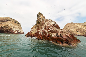 Image showing sea lion on rocky formation Islas Ballestas, paracas