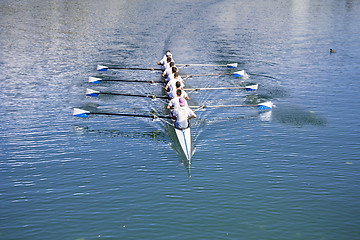 Image showing Boat coxed eight Rowers rowing