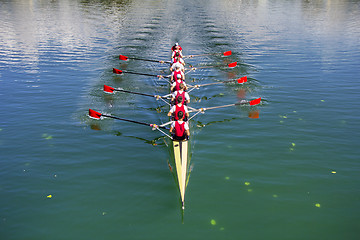 Image showing Boat coxed eight Rowers rowing