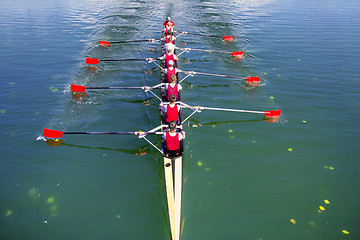 Image showing Boat coxed eight Rowers rowing