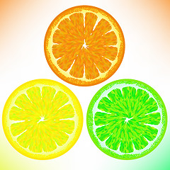 Image showing Orange Lemon Lime