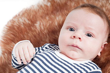 Image showing Portrait of adorable baby lying on fur