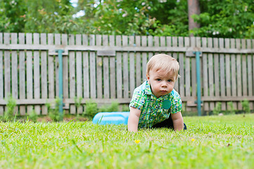 Image showing Cute baby crawling in the grass