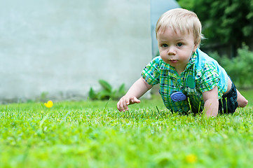 Image showing Cute baby crawling in the grass