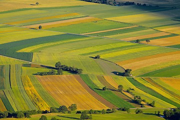 Image showing Fields