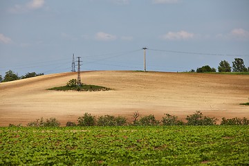 Image showing Agircutural field