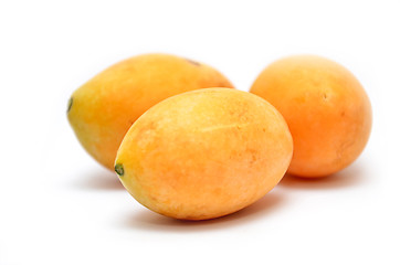Image showing Sweet Marian plum