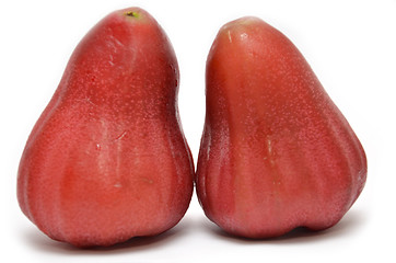 Image showing Rose apples  