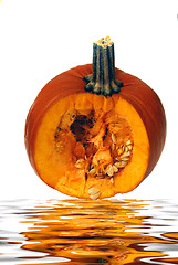 Image showing Pumpkins