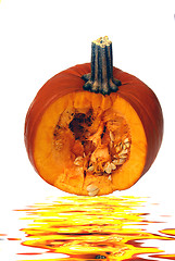 Image showing Pumpkins