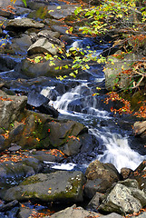 Image showing Fall Waterfall