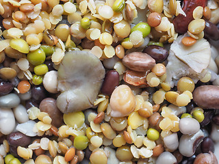 Image showing Beans vegetable salad