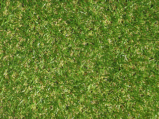 Image showing Green artificial synthetic grass meadow background