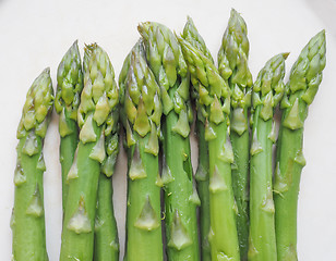 Image showing Asparagus vegetable