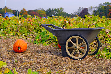 Image showing Harvest