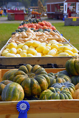 Image showing Harvest