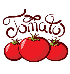 Image showing Vector Tomato