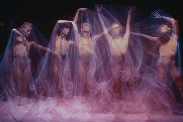 Image showing photo as art - a sensual and emotional dance of beautiful ballerina through the veil 