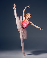 Image showing Portrait of the ballerina in ballet pose