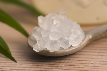 Image showing Water kefir grains